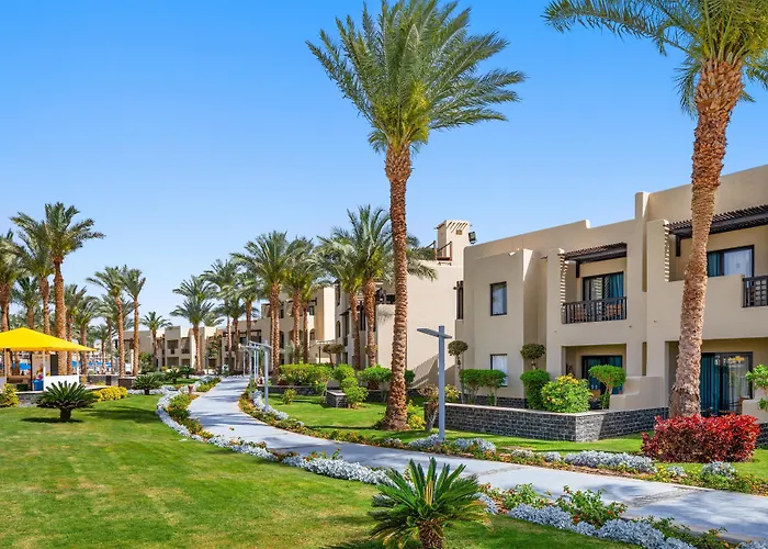 Pickalbatros Oasis